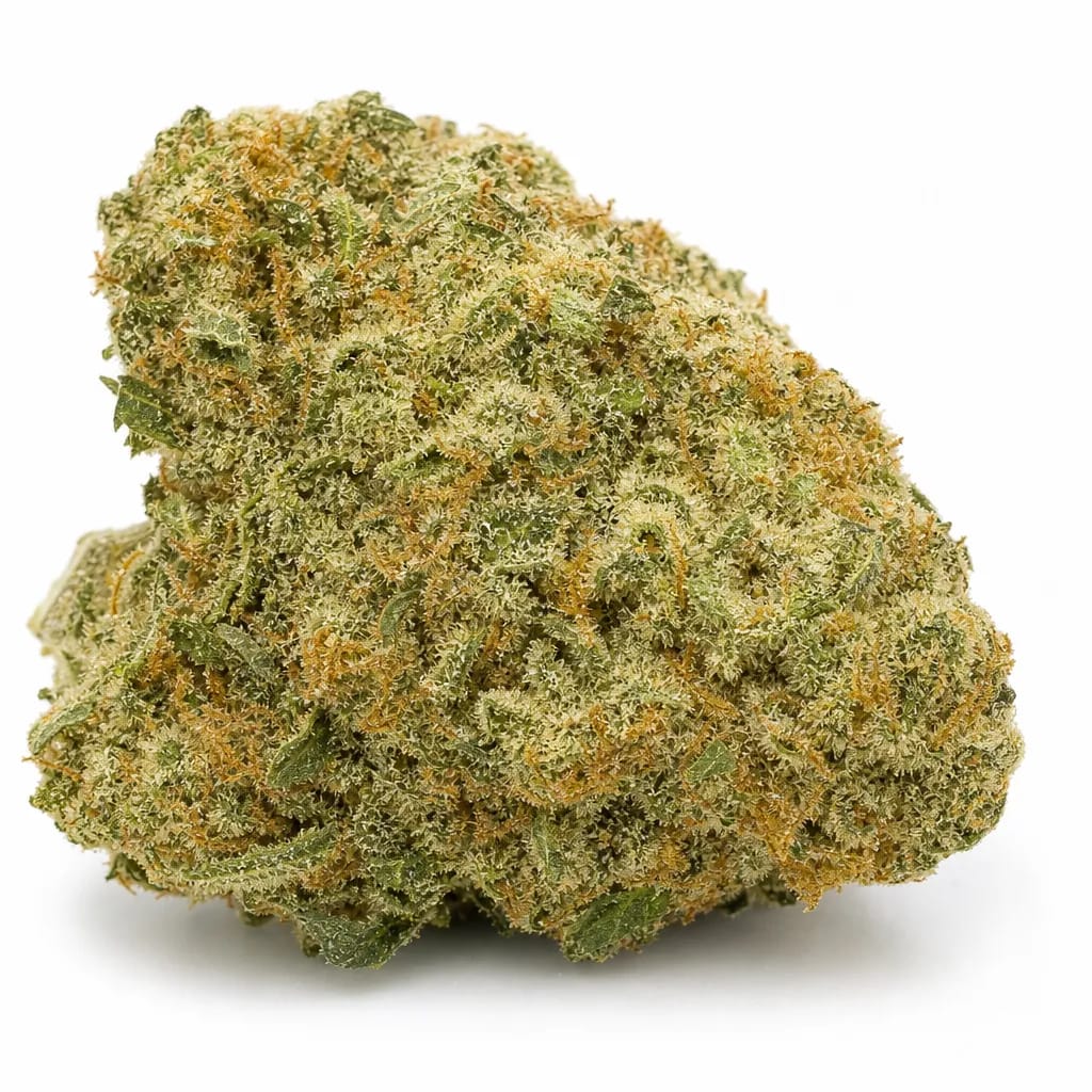 Querkle cannabis strain