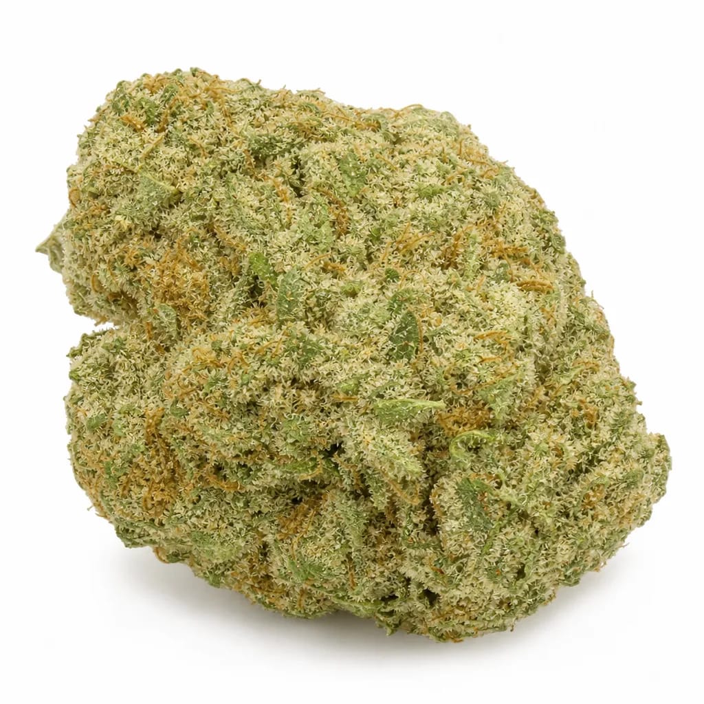 Shiva Skunk cannabis strain