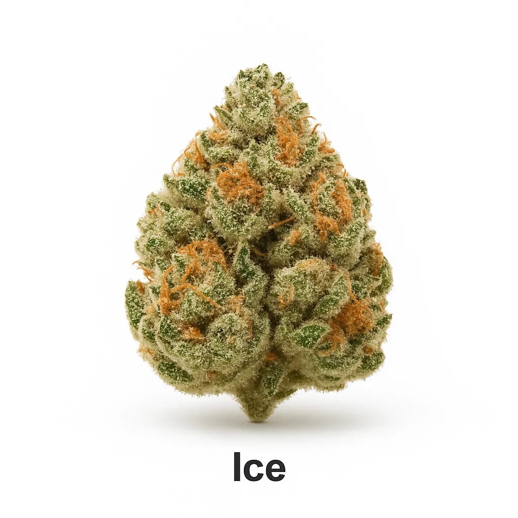 Ice cannabis strain