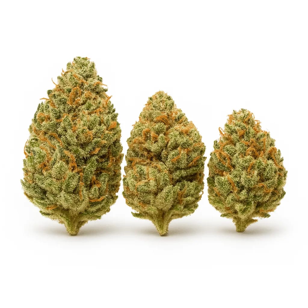 Pineapple Chunk cannabis strain