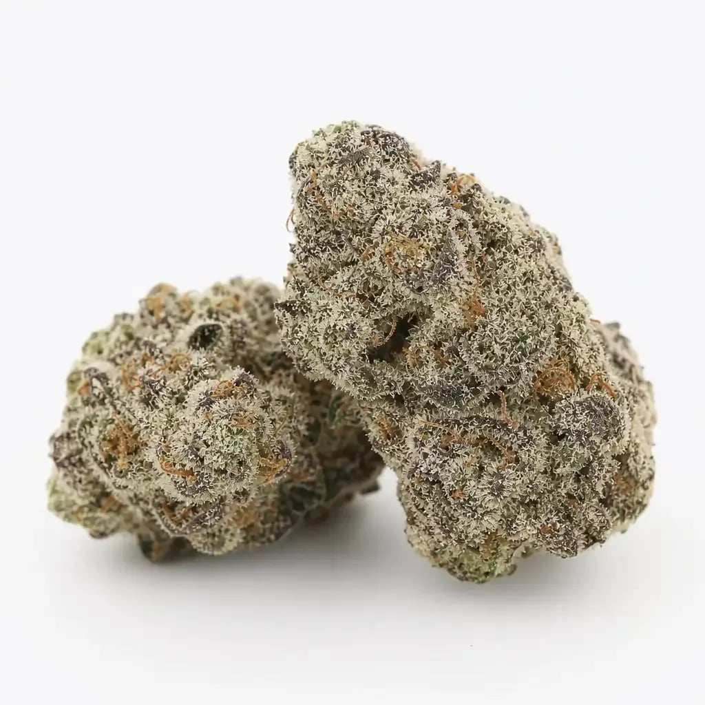 Black Cherry Soda cannabis strain