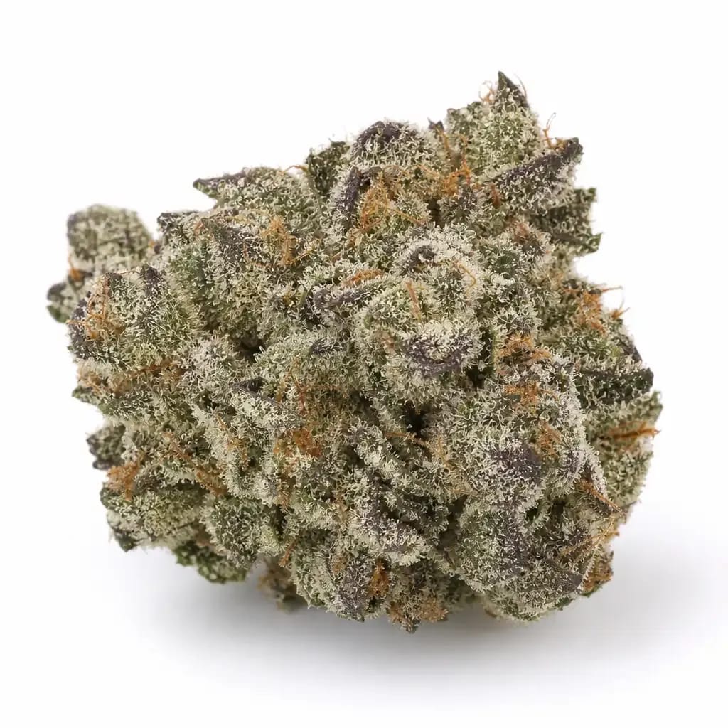 Sour Dubble cannabis strain