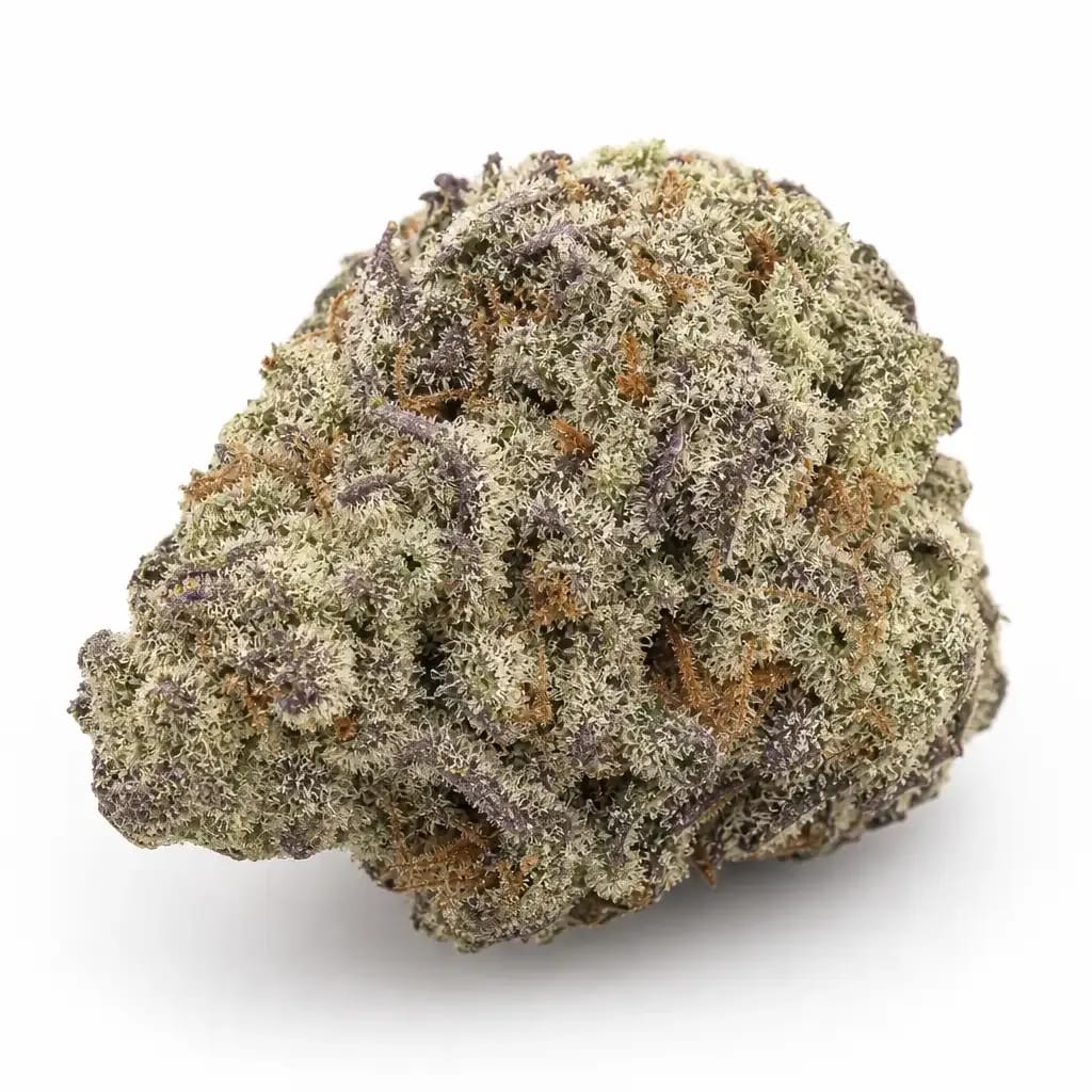 Apricot Gelato cannabis strain