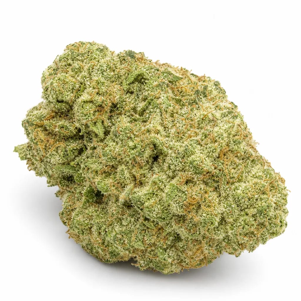 Afghani Bullrider cannabis strain