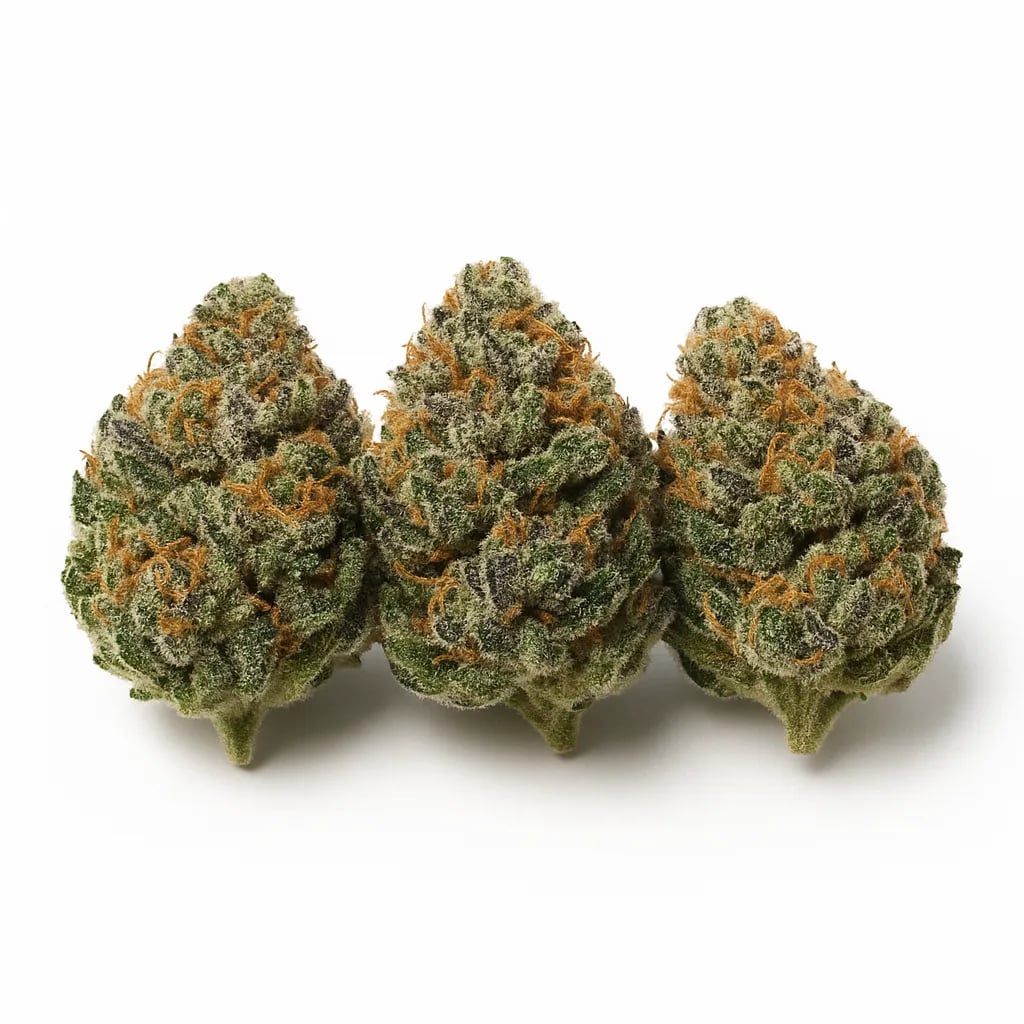 Frosty Gelato cannabis strain