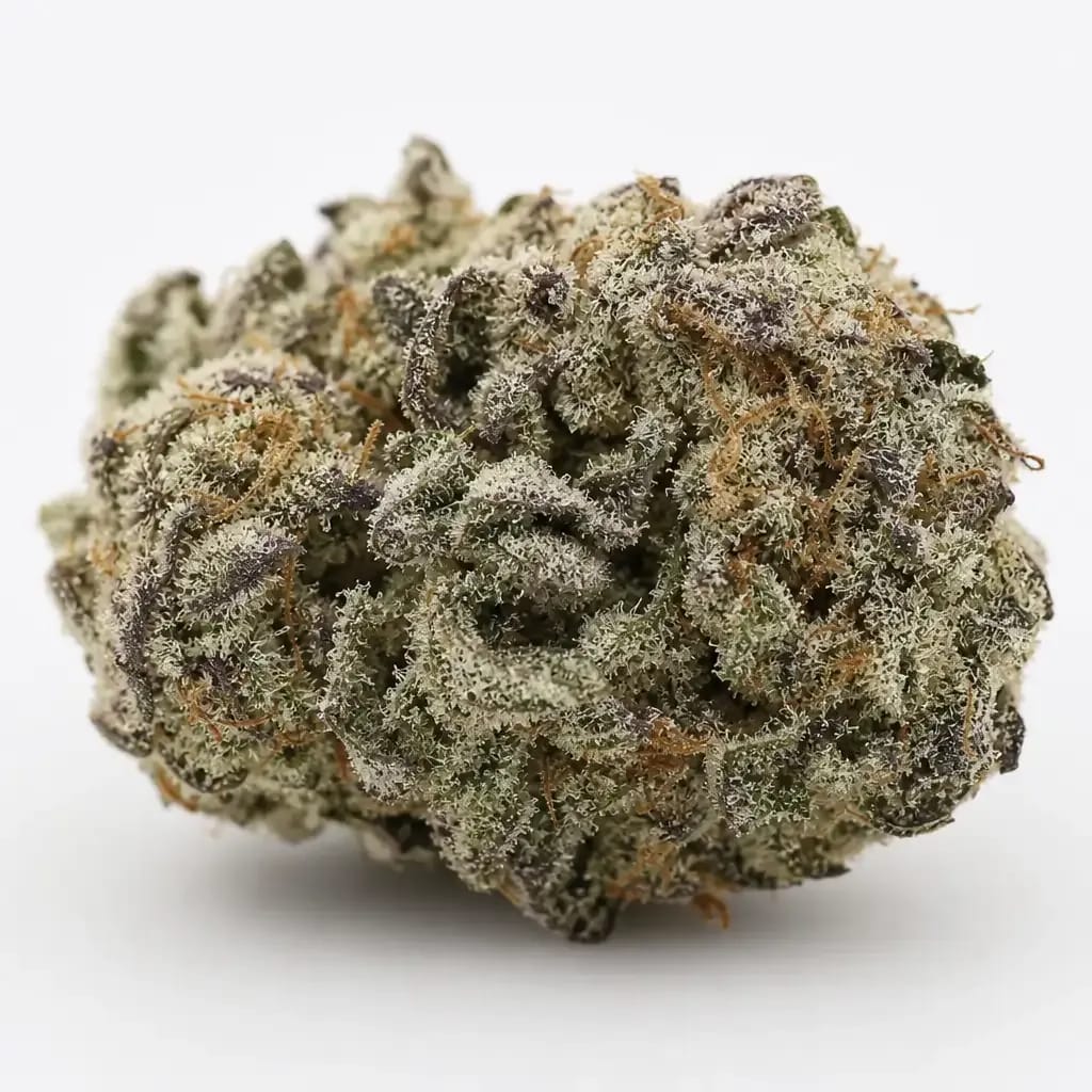 Sour Banana Sherbet cannabis strain