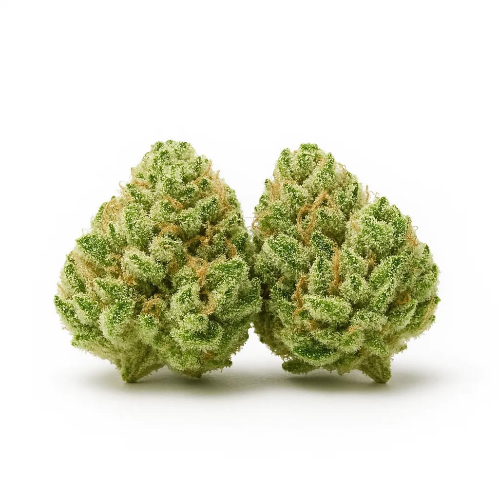 Dirty Sprite cannabis strain