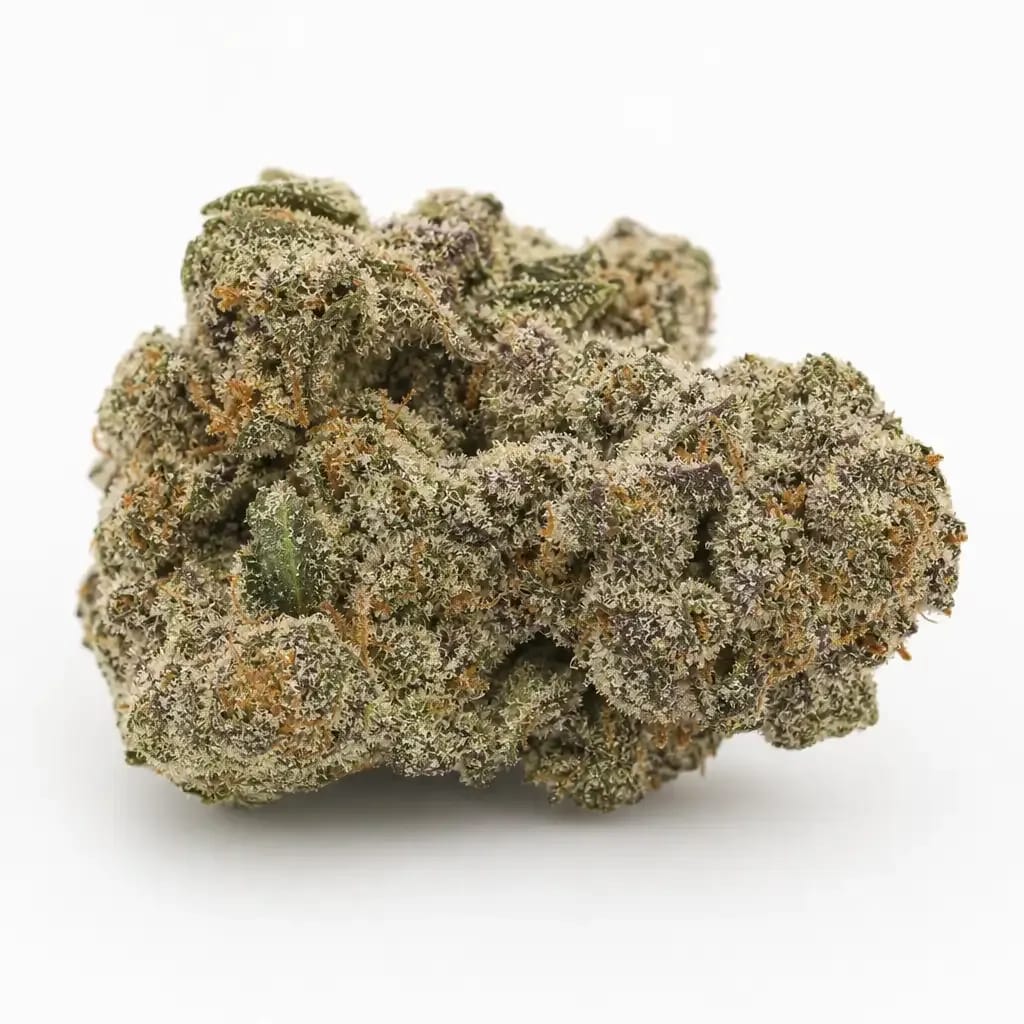Sour Cheese cannabis strain