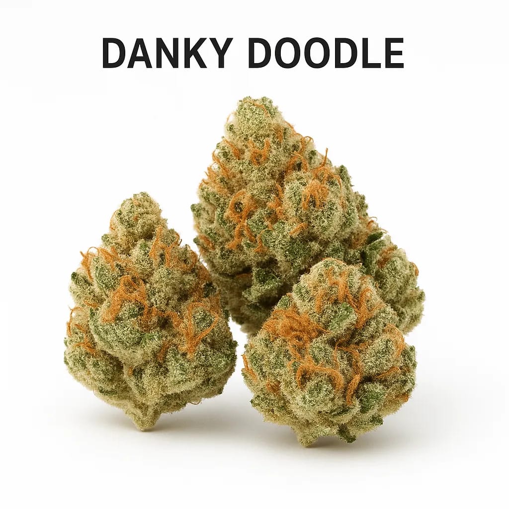Danky Doodle cannabis strain