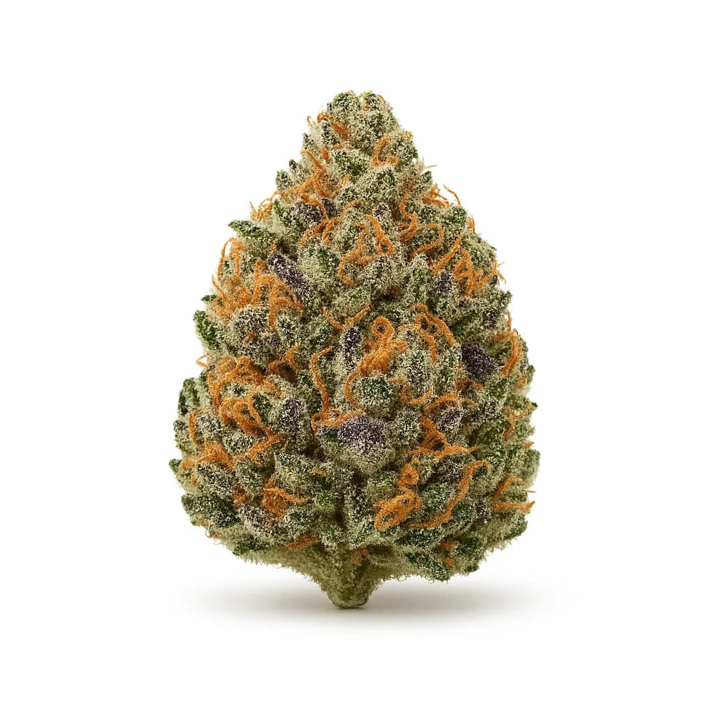 Tropicana Cookies cannabis strain