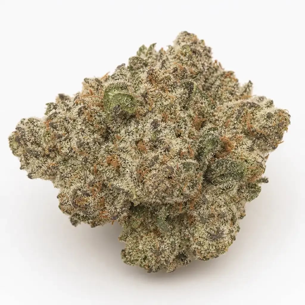 White Alien OG