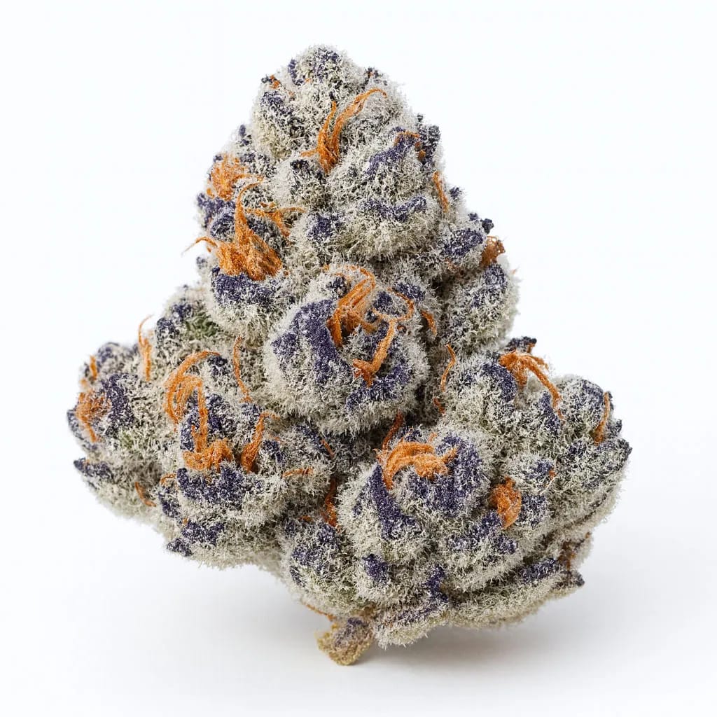 Hindu Kush cannabis strain