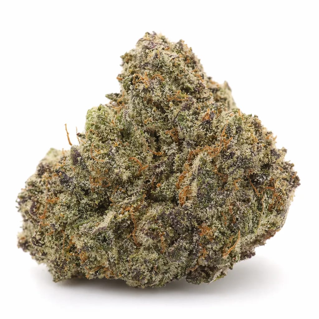 Mud Bite cannabis strain