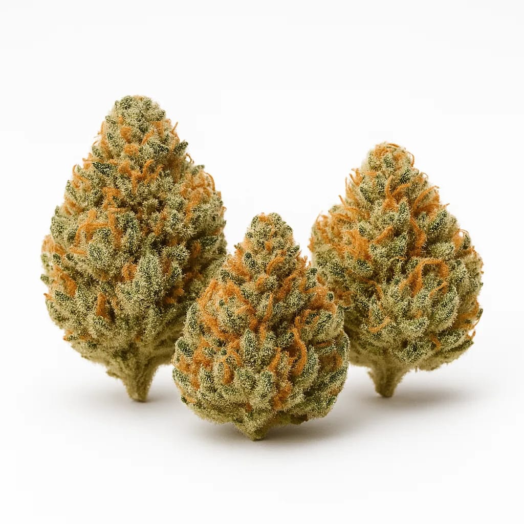 Animal Face cannabis strain