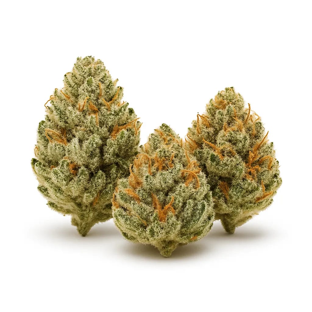 White Fire OG cannabis strain
