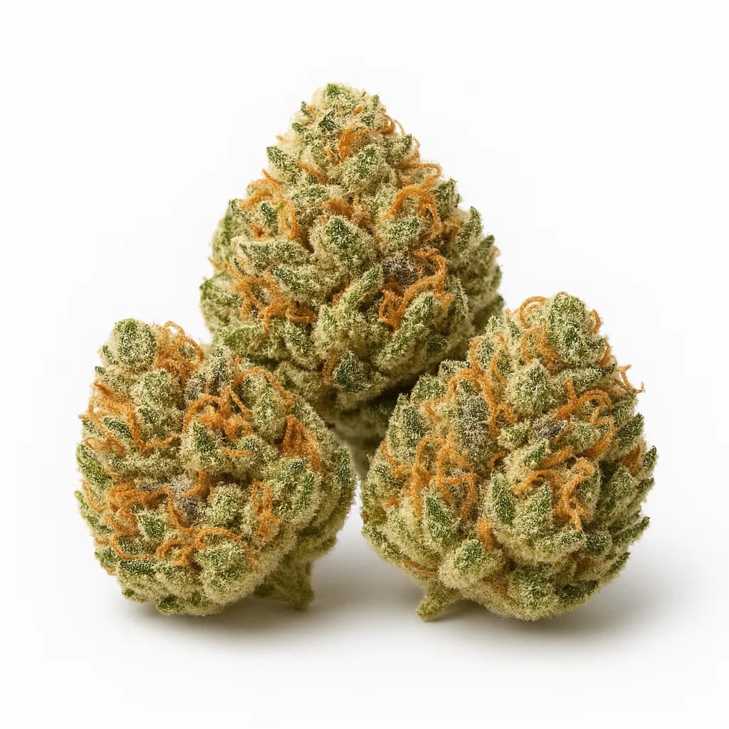 Rainbow Sherbet cannabis strain