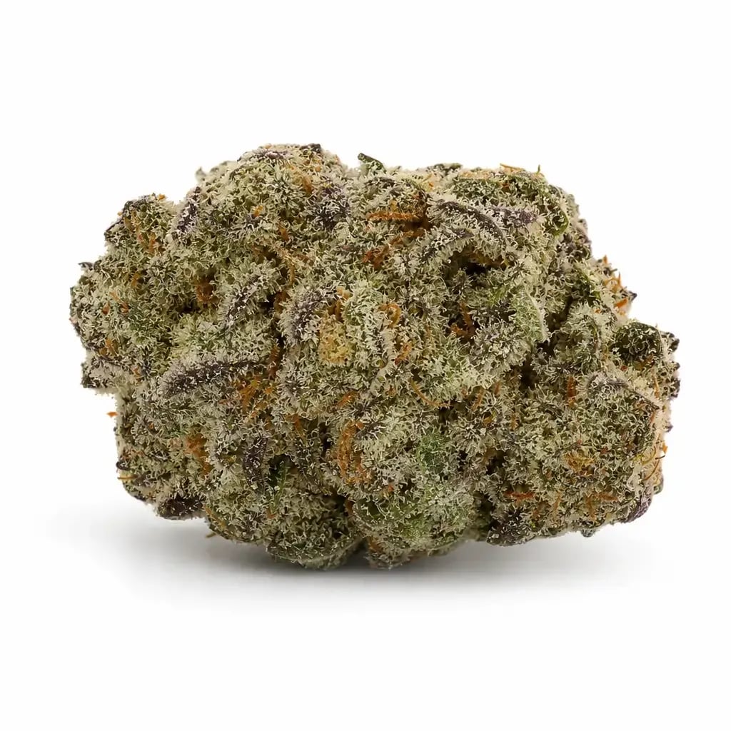 El Jefe cannabis strain