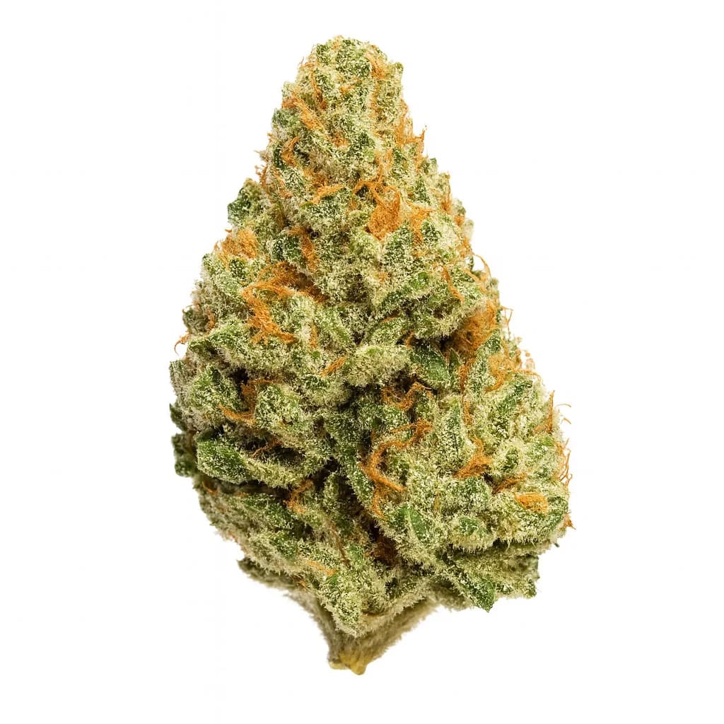 King Louis XIII cannabis strain