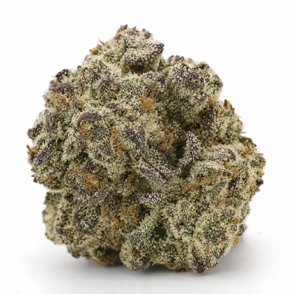 Purple Alien OG cannabis strain