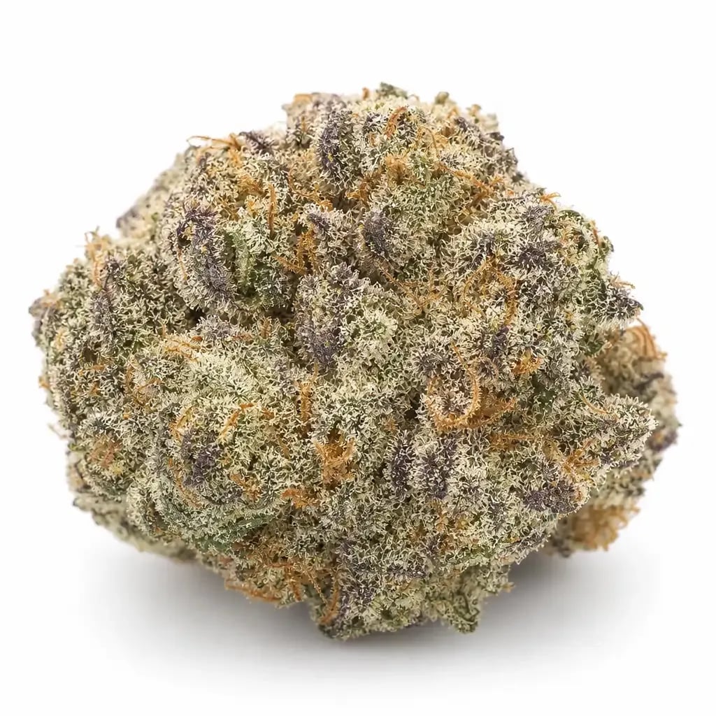 Sugar Cookies cannabis strain