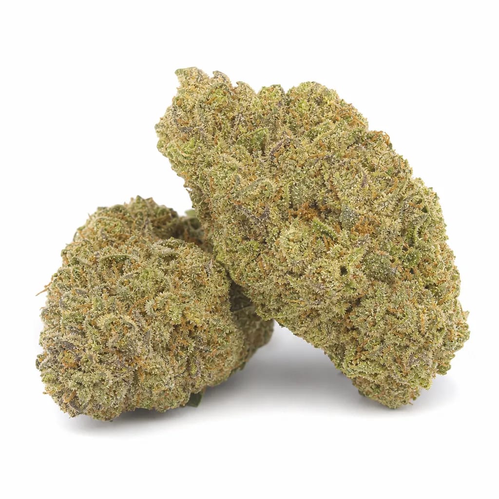 Blue God cannabis strain