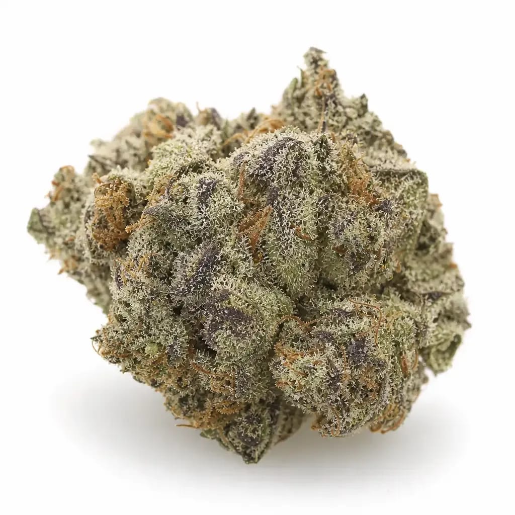 BC Big Bud cannabis strain