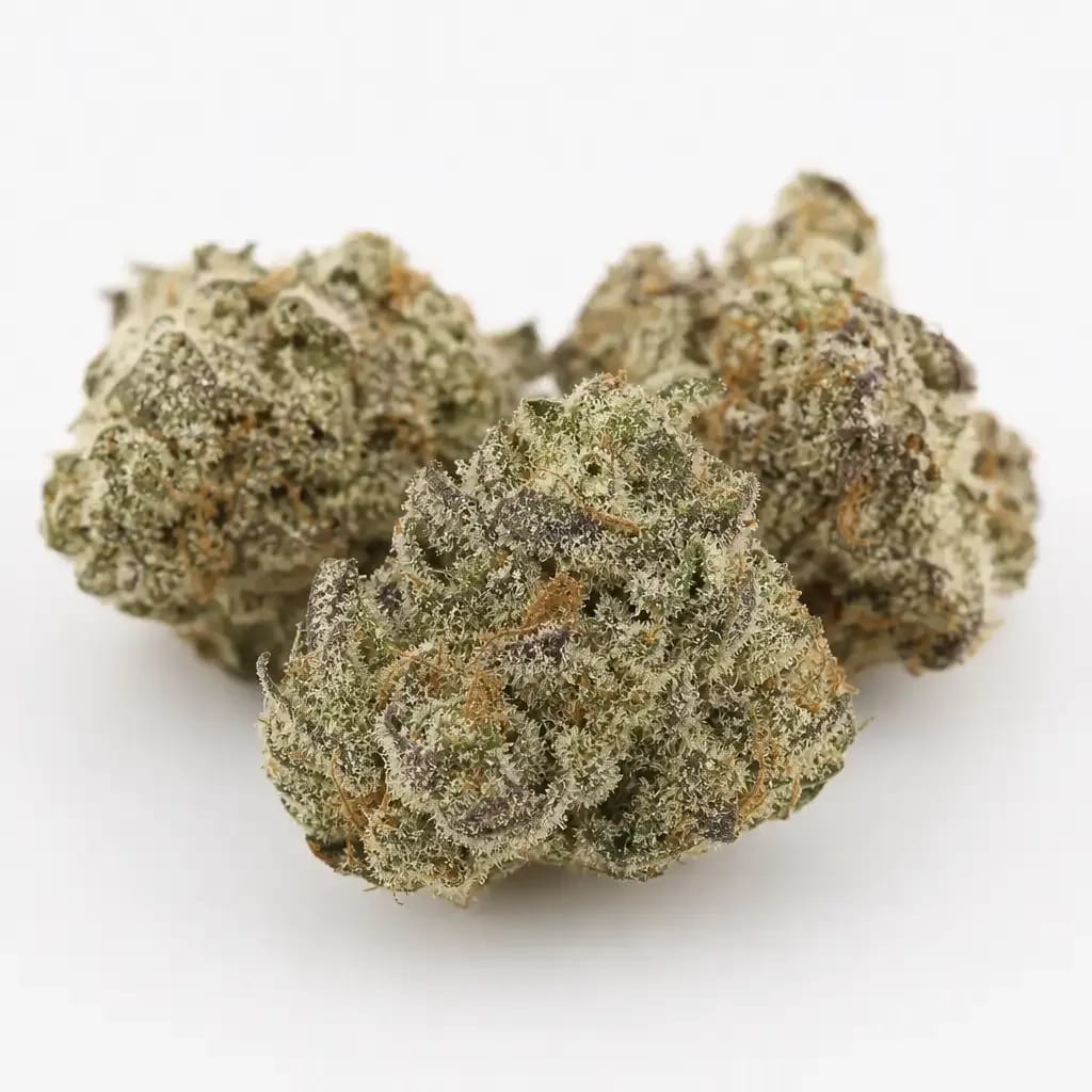 White Fire 43 cannabis strain