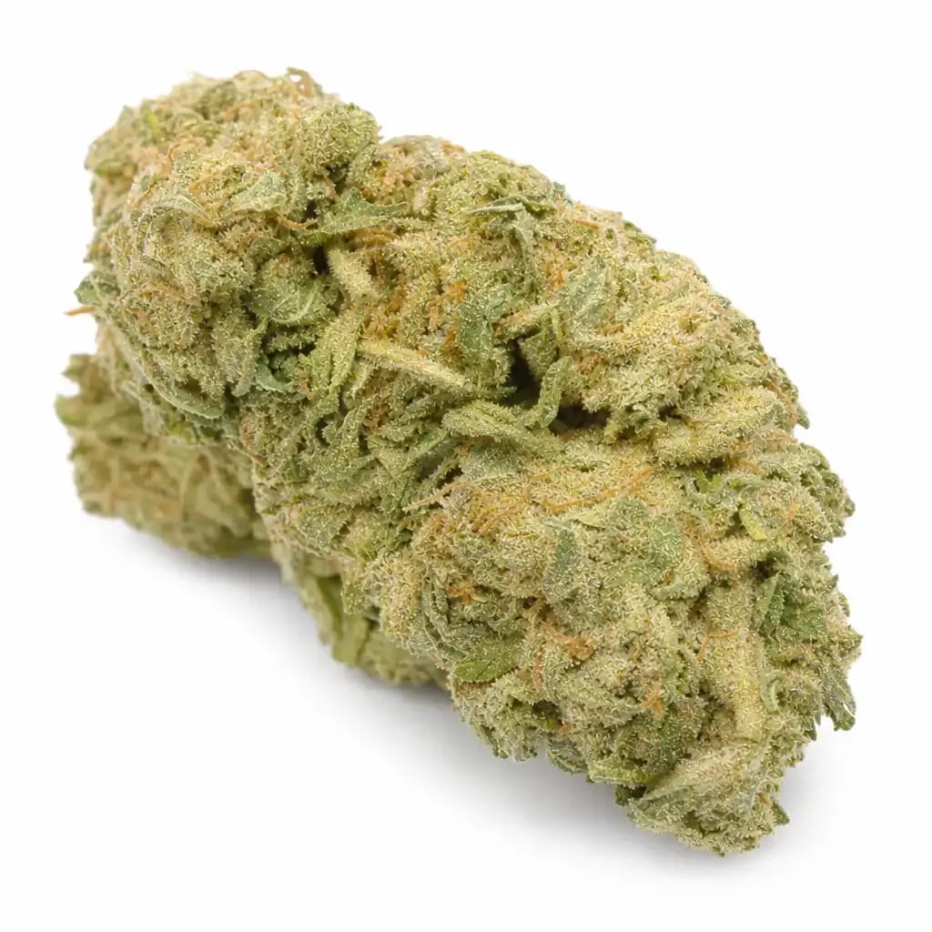 East Coast Sour Diesel cannabis strain