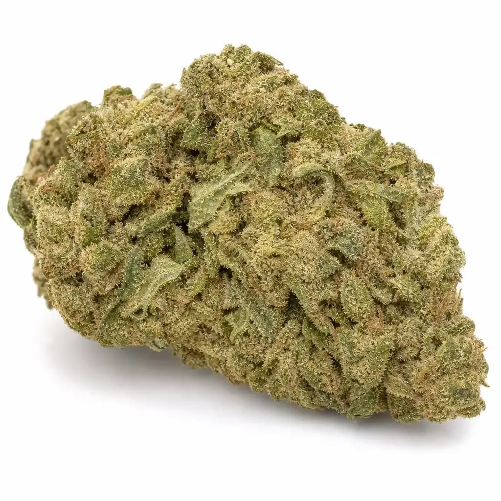 Astro Boy cannabis strain