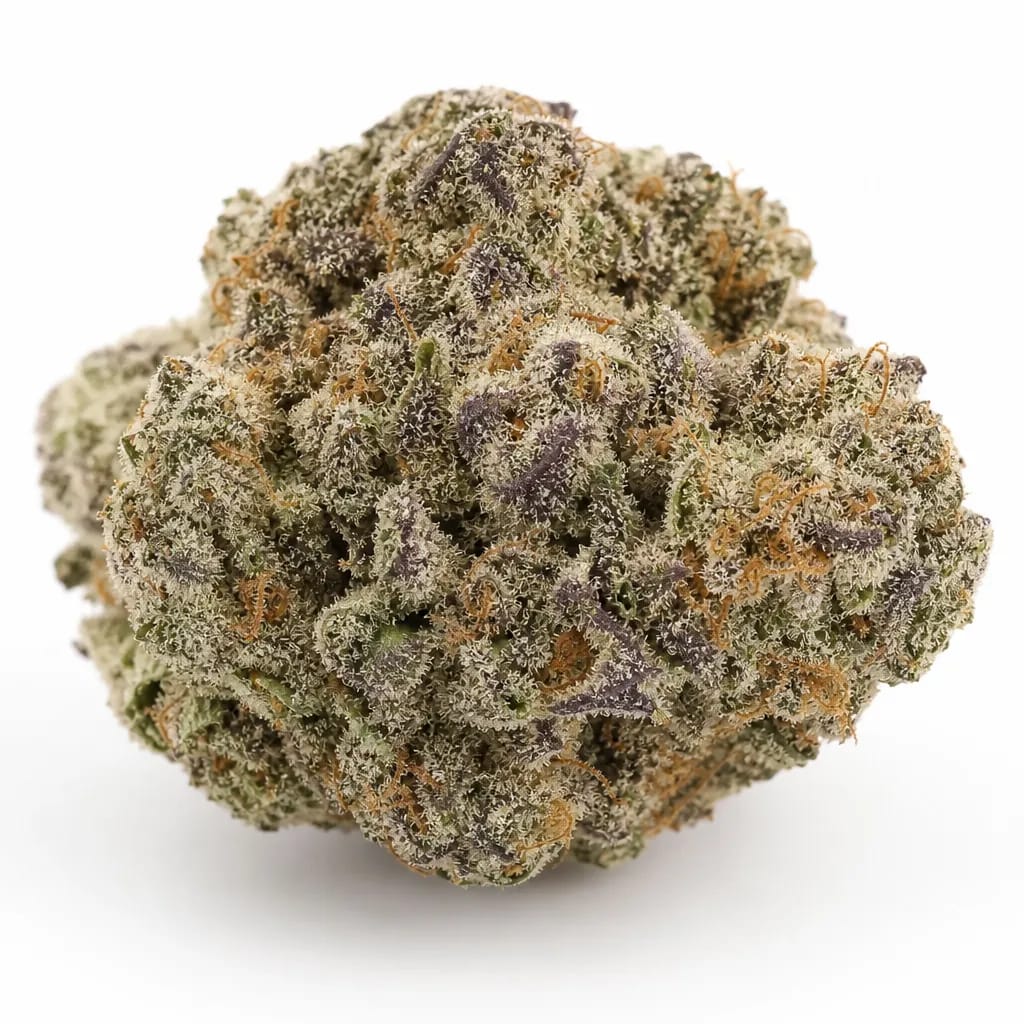 Professor Chaos cannabis strain