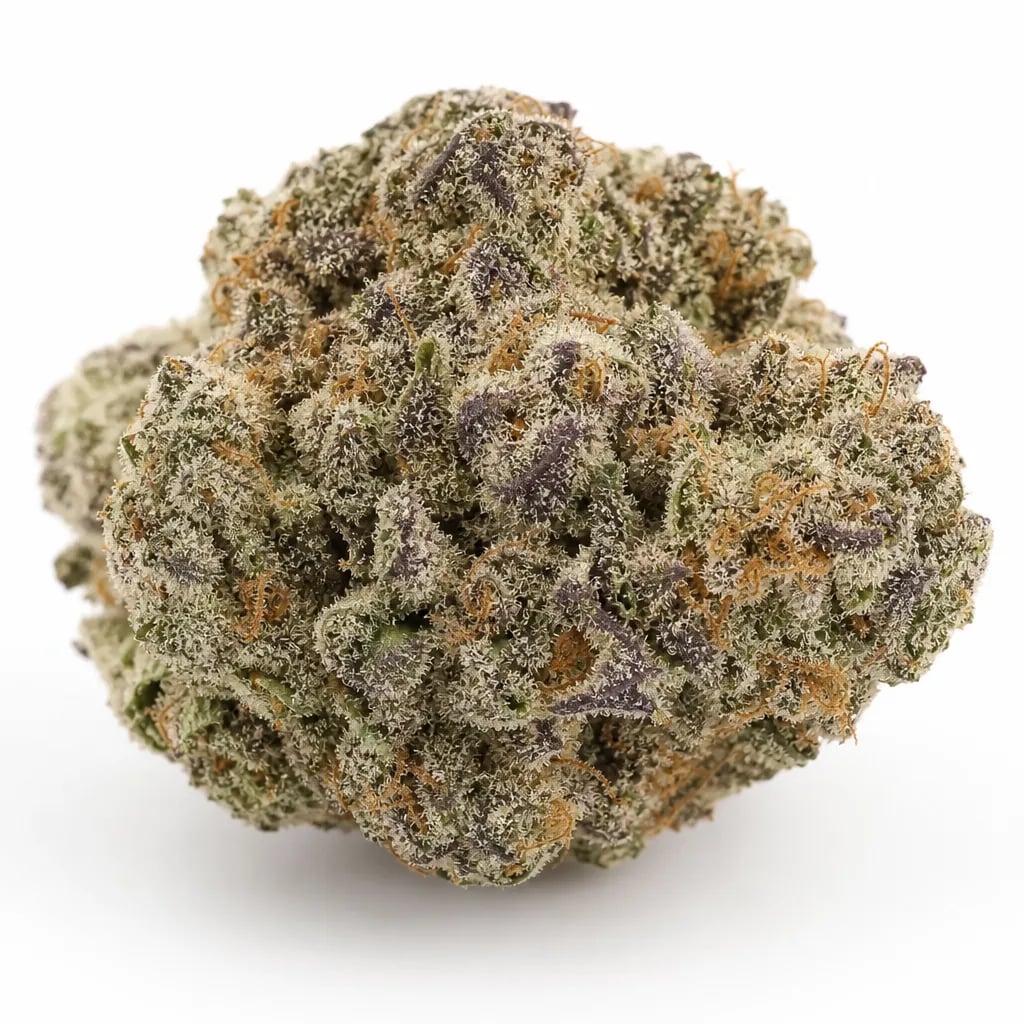 Professor Chaos cannabis flower buds on white background, macro strain photo