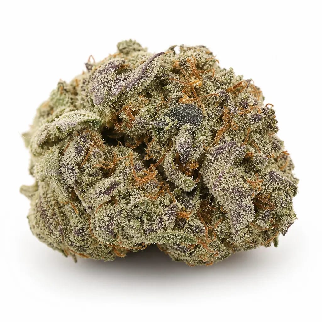 Orange Kush cannabis strain
