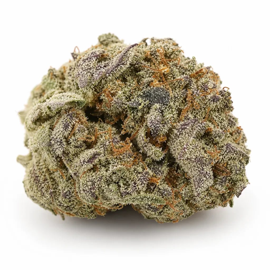 Orange Kush cannabis strain