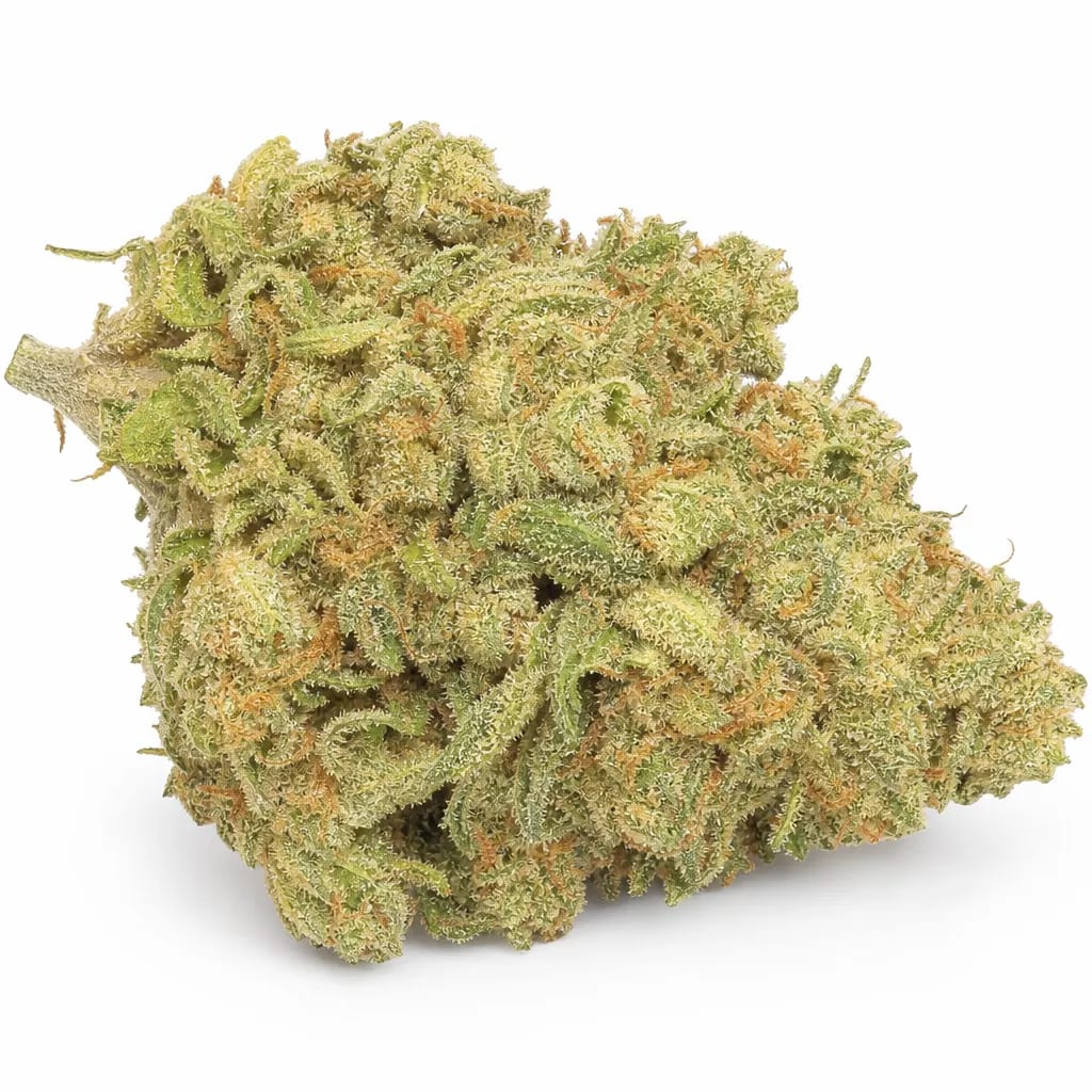 Sour Jack cannabis strain