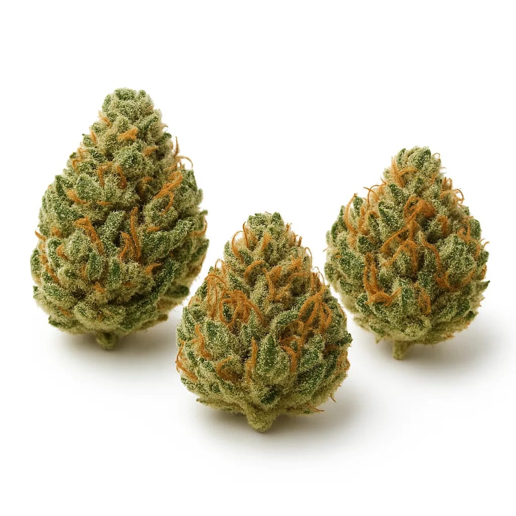 Tahoe OG cannabis strain