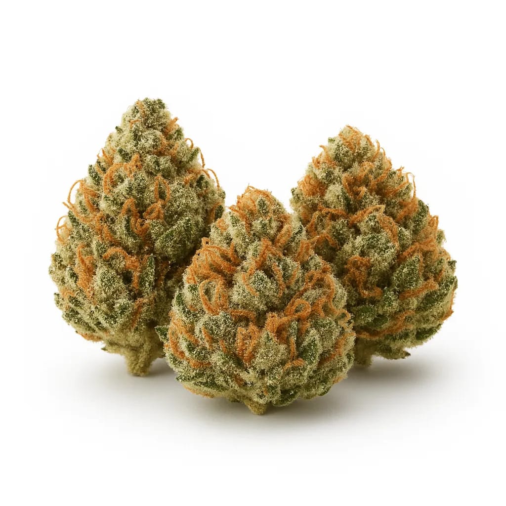 G13 cannabis strain