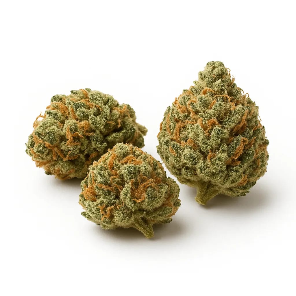 Pre-98 Bubba Kush cannabis strain