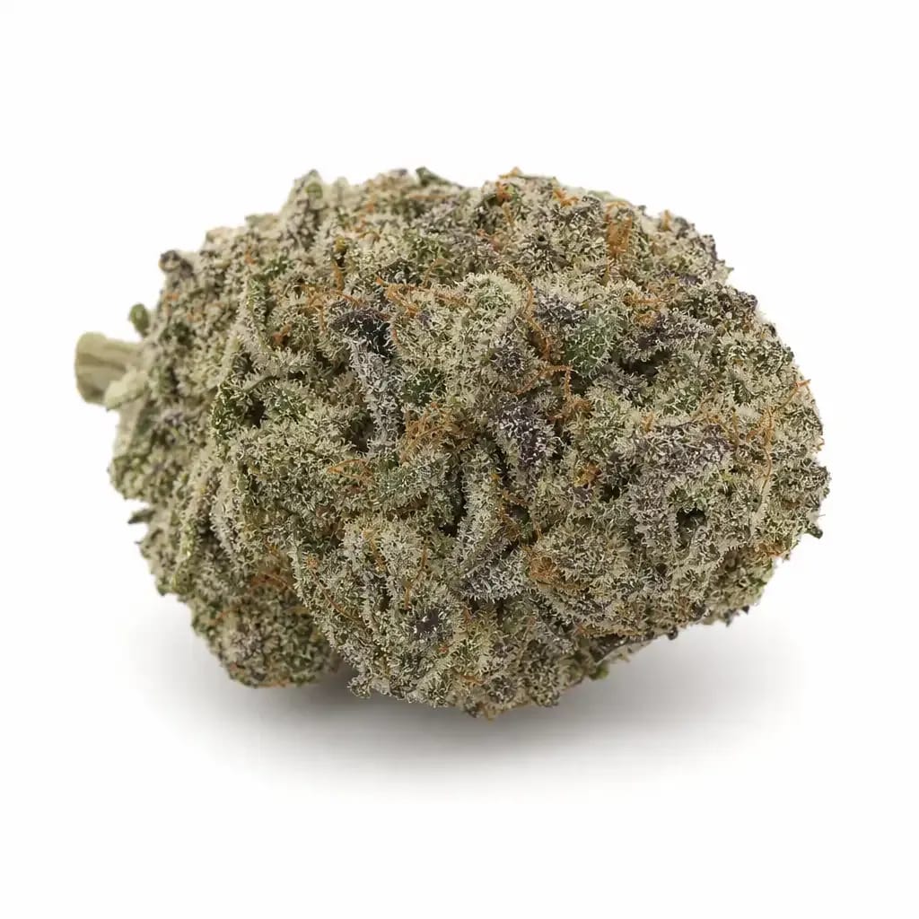 Spirit in the Sky cannabis strain