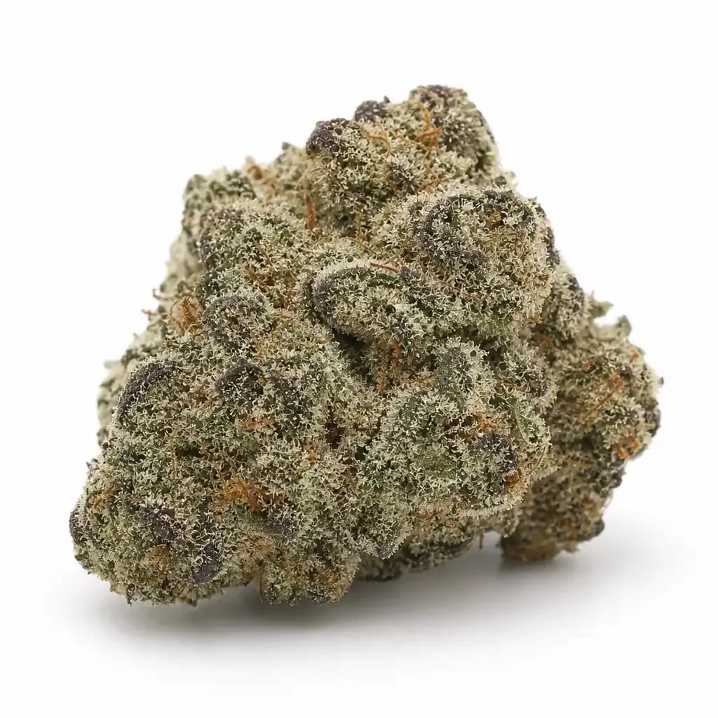 White Lotus cannabis strain