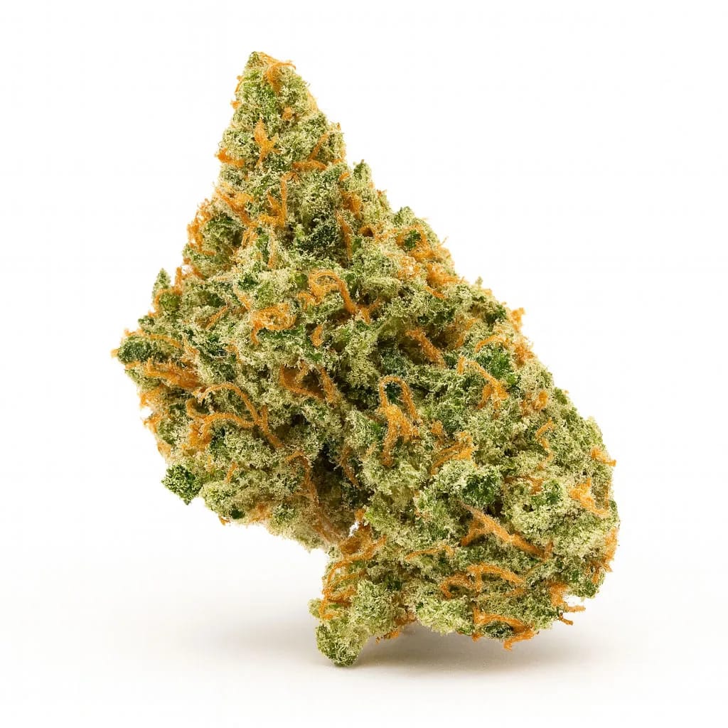 Jack Herer cannabis strain