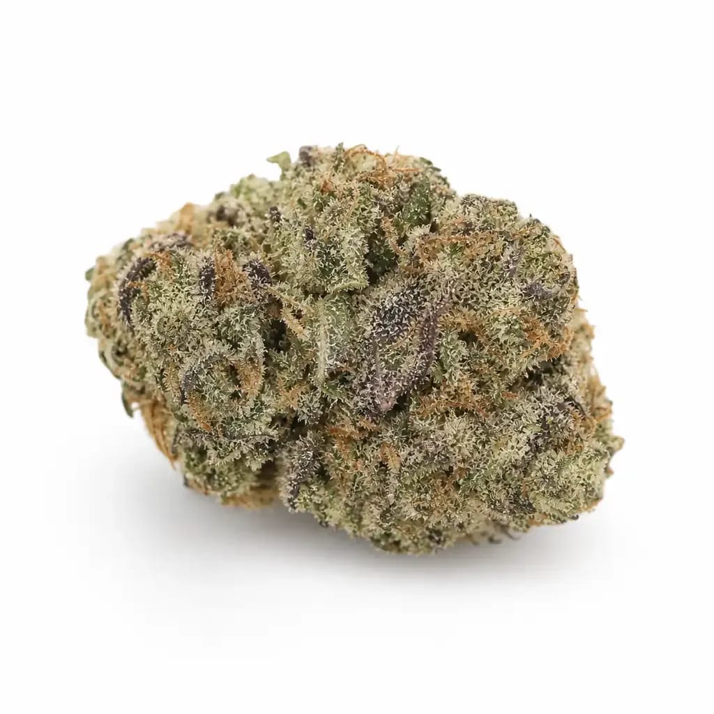 Sinsemilla cannabis strain