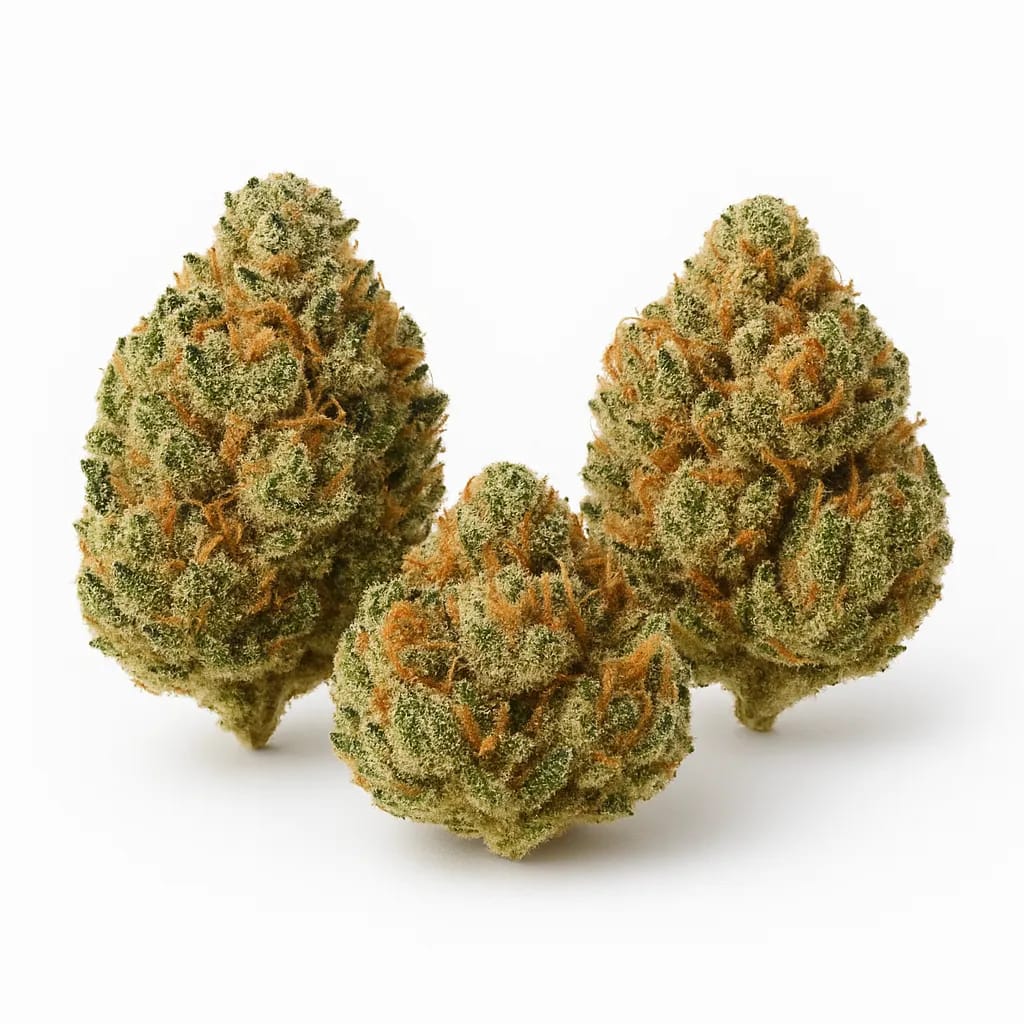 Thin Mint GSC cannabis strain