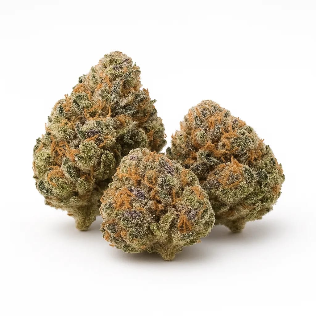 Tom Ford Pink Kush cannabis strain