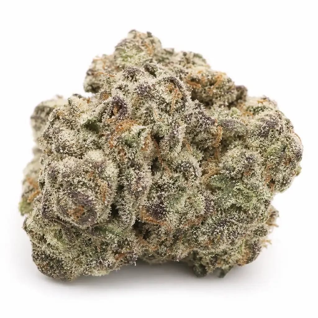 White Bastard cannabis strain