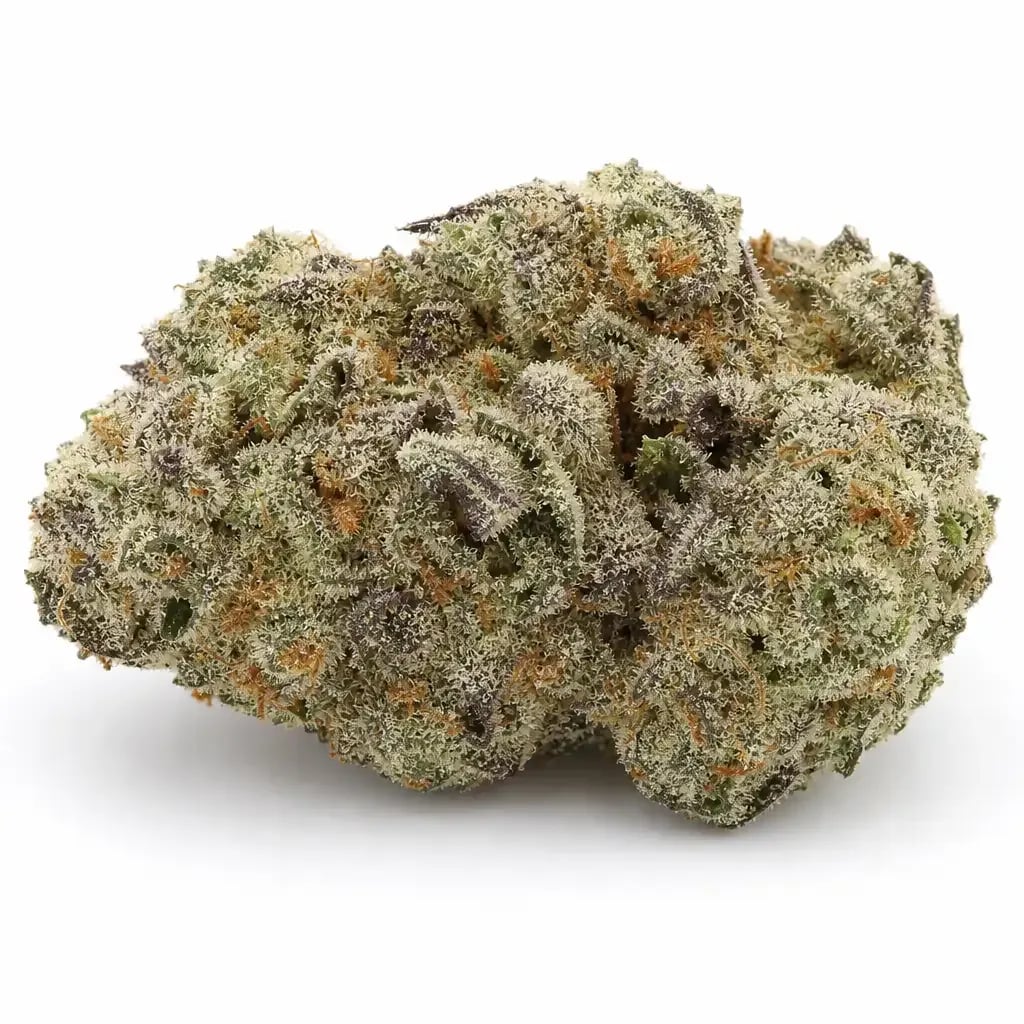 Sunburn cannabis strain