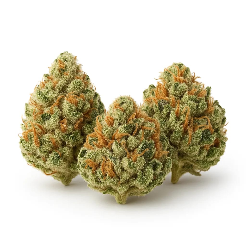 Mazar cannabis strain