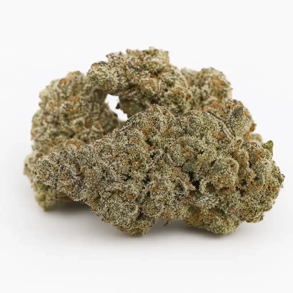 Bogglegum cannabis strain