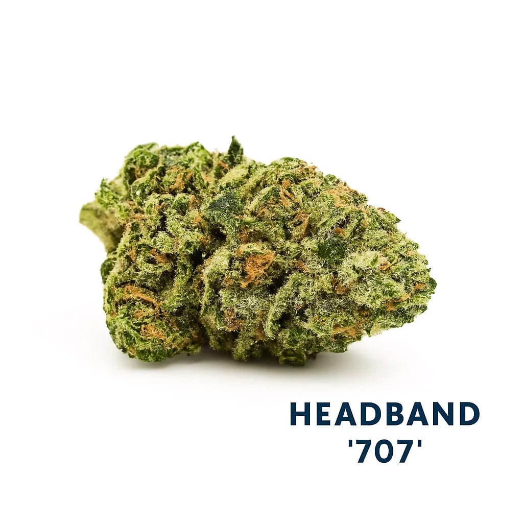 707 Headband cannabis strain