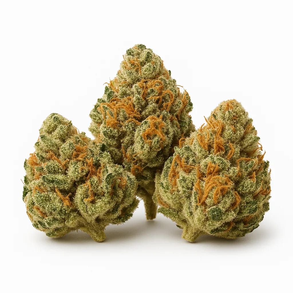 Original Glue cannabis strain