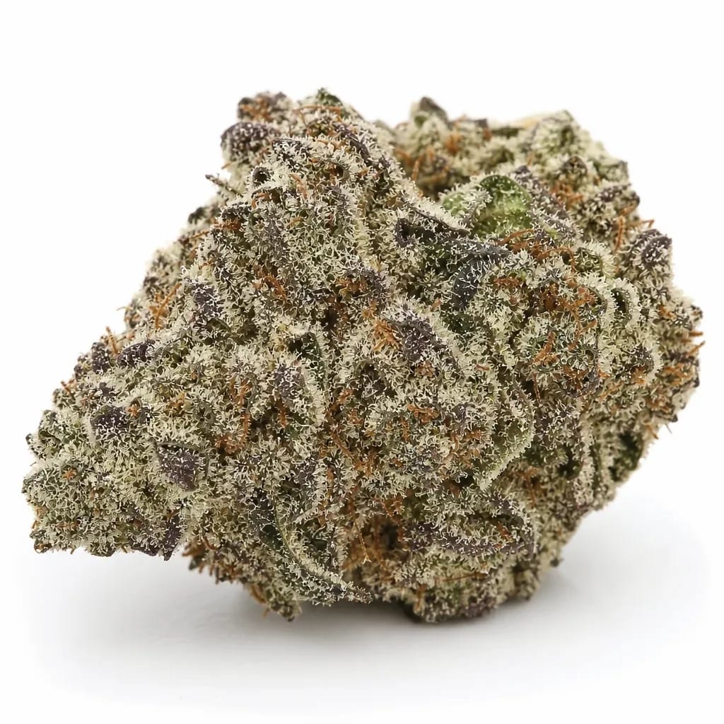 Currant Kush cannabis strain